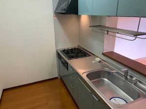 サンシャイン　ヒルズ 0203号-2