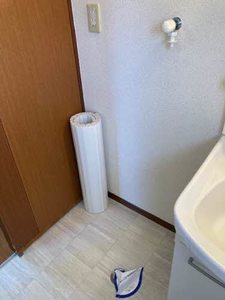 グリーン伸舘 A202号-10