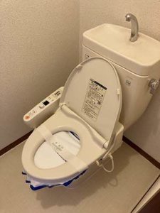 グリーン伸舘 A202号-12