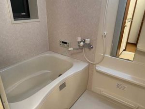 ＬＩＶＥＸ　ＭＩＮＡＫＵＣＨＩ 0202号-9