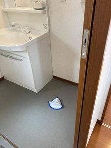 ＣＯＭＥＴＯⅡ 0101号-10