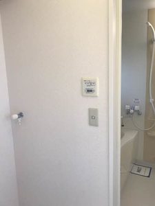 サーティーン・Ⅸ 0102号-6