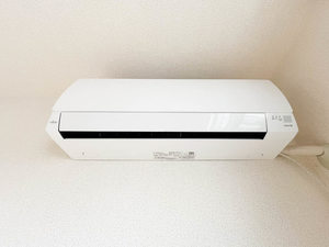 Ａｕｇｕｓｔａ 0208号-11