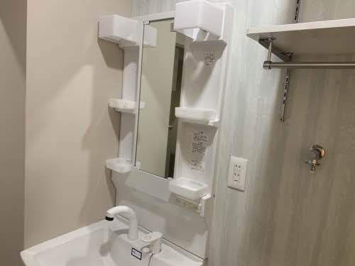 ディアス島泉Ⅱ 0105号-3