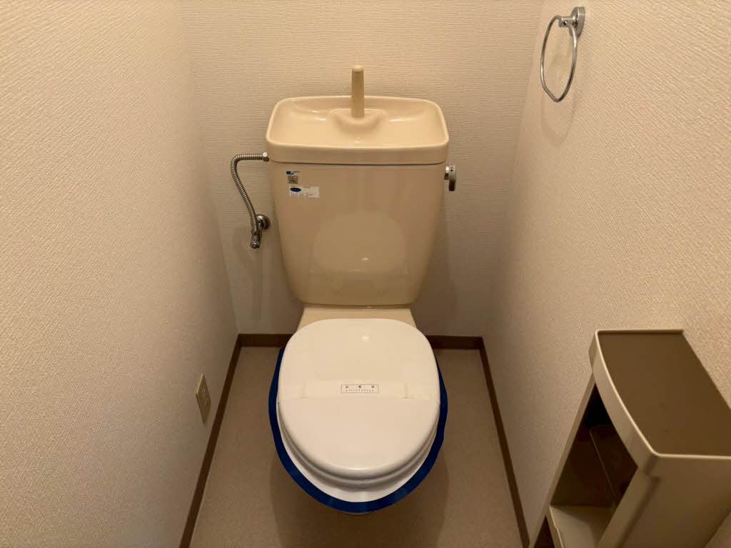 Ｋ’ｓ　Ｐａｓｔｒａｌ 0205号-10