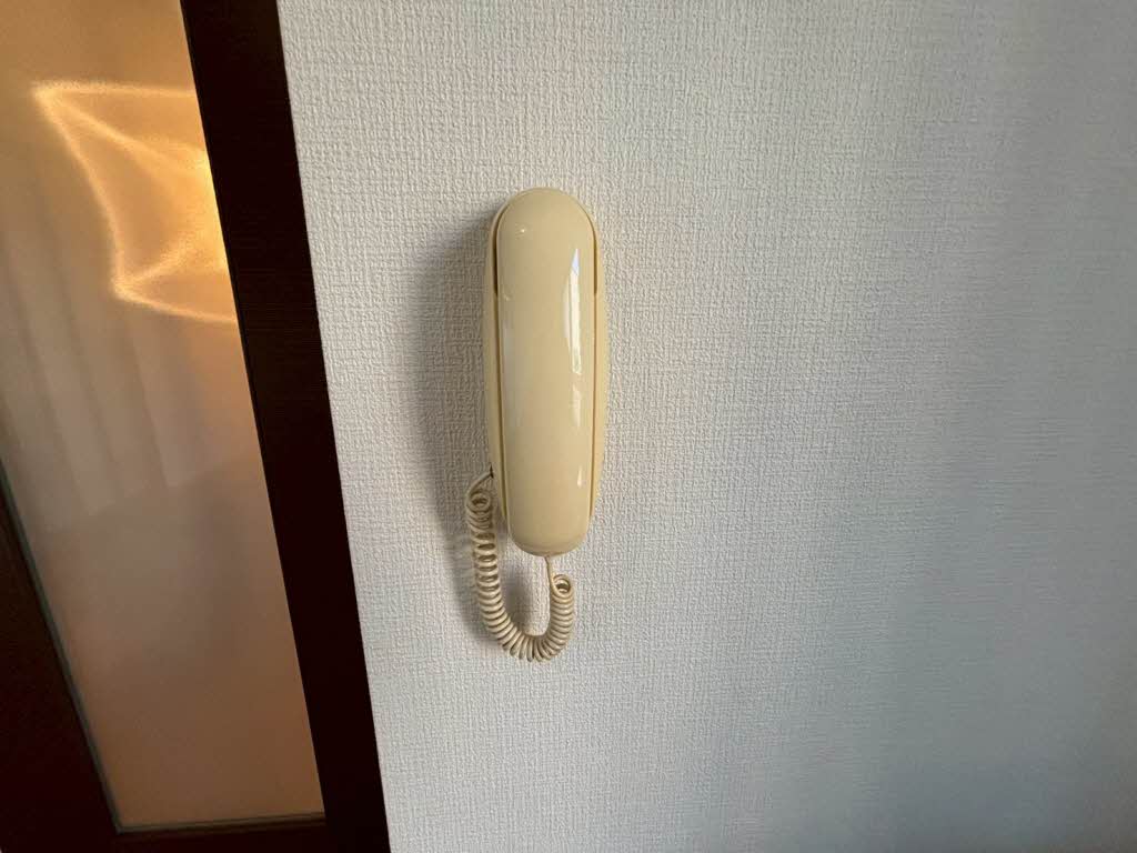 Ｋ’ｓ　Ｐａｓｔｒａｌ 0205号-13