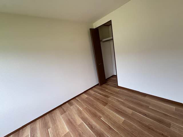Lapis 0207号-4