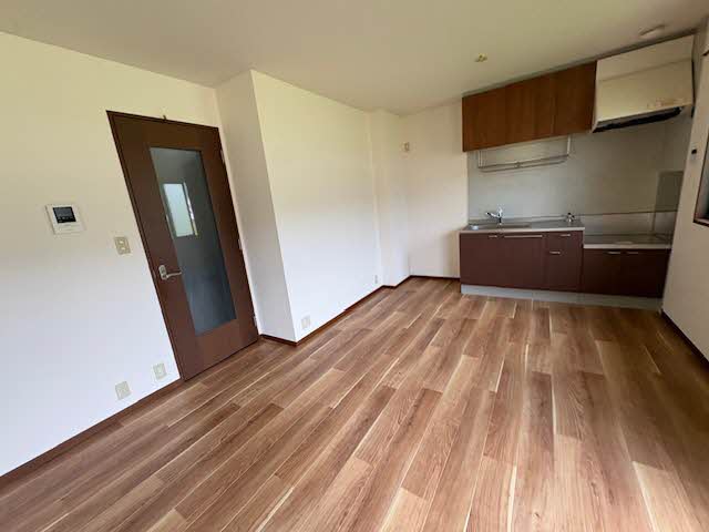 Lapis 0207号-5