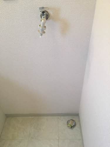 フォーレス華 B202号-6