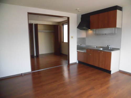 ライジング　サン 0102号-2