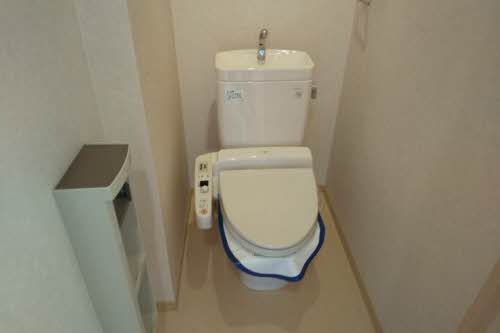 カサ　サンボンギ 0203号-2