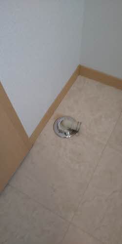 メゾン・ド・ブルーム A202号-9