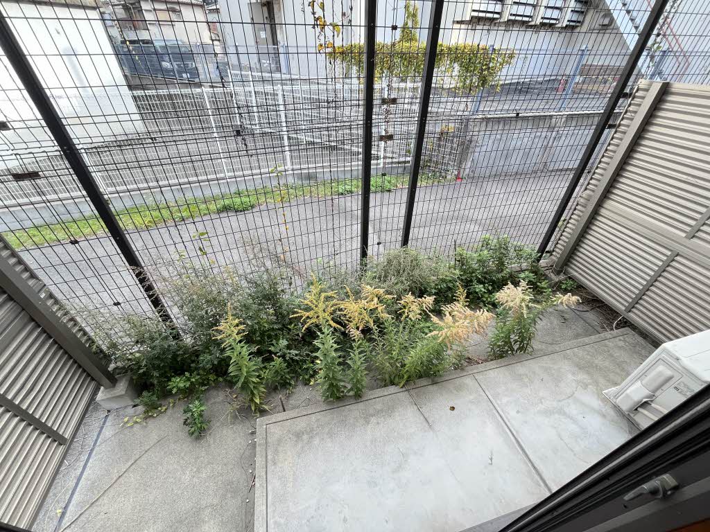 グリーン　ウィング B106号-14