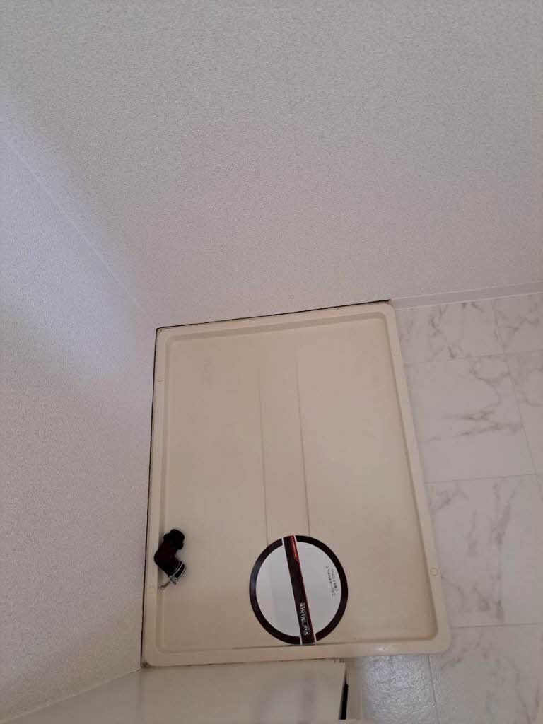 パストラル 0201号-3