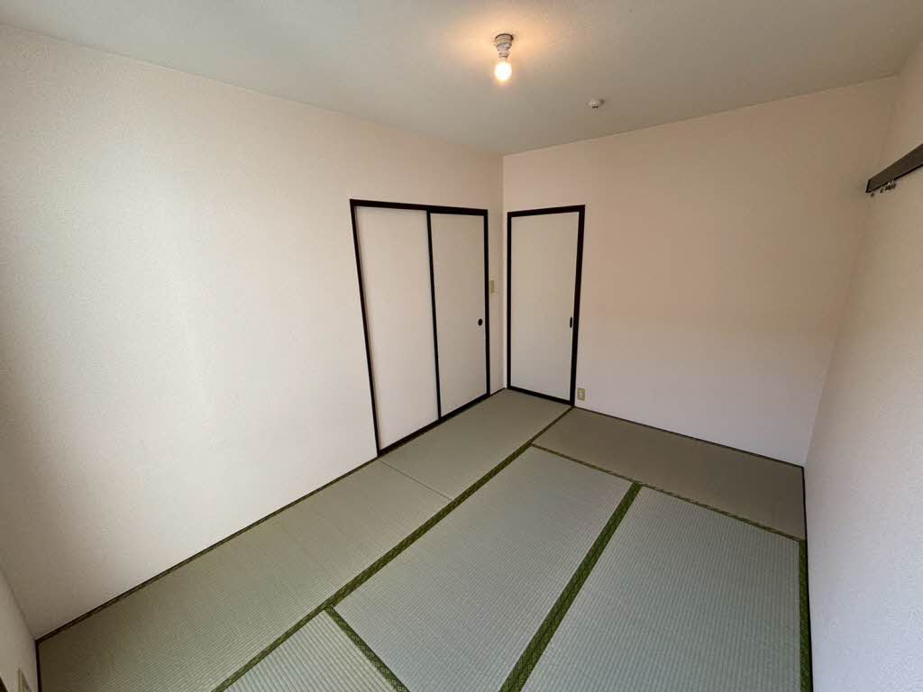 エピーメロン C202号-2