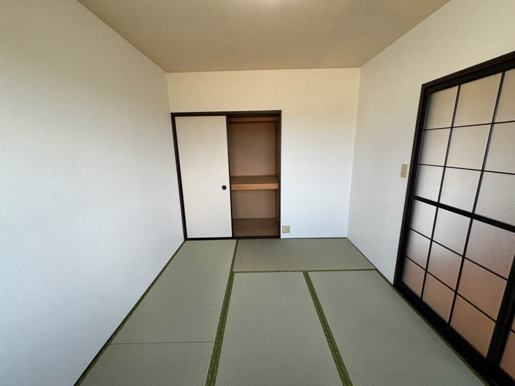 エピーメロン C202号-8