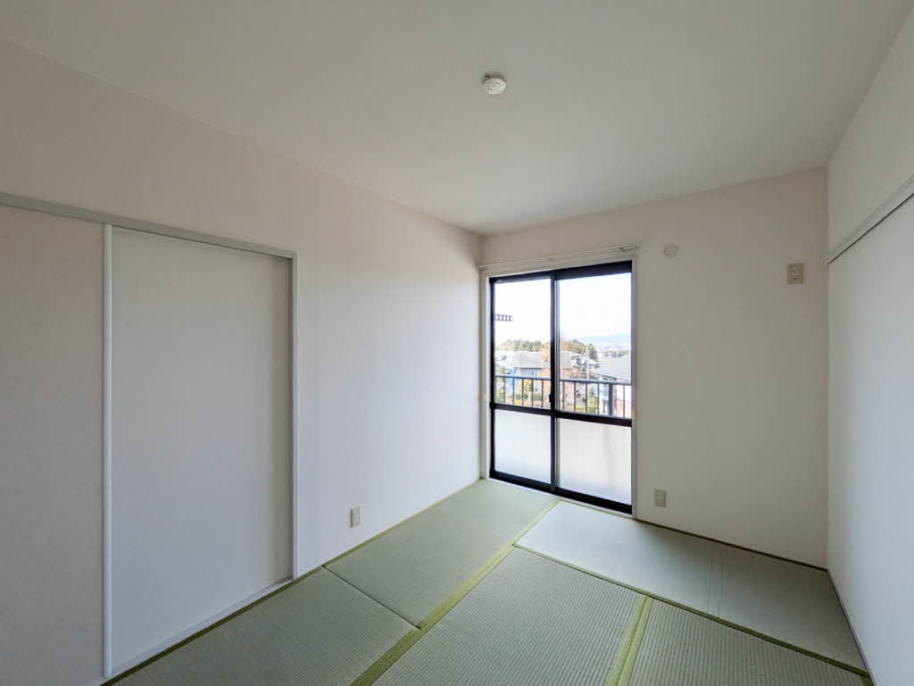 タモサーチＣ 0201号-8