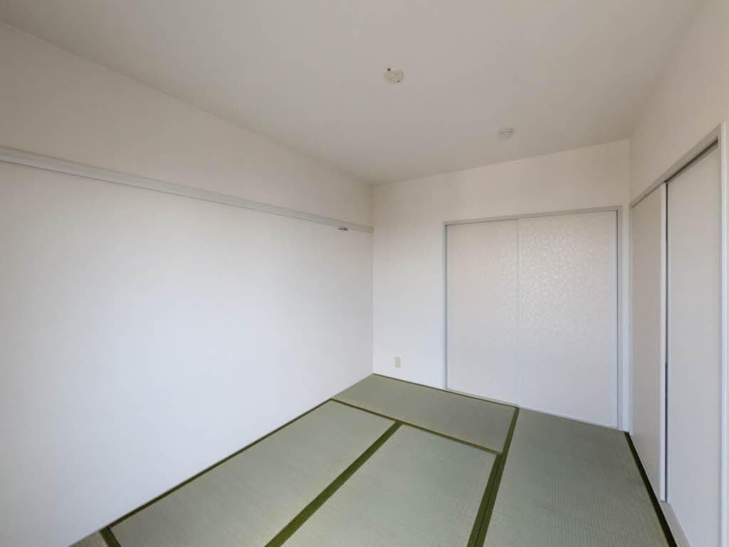 タモサーチＣ 0201号-10