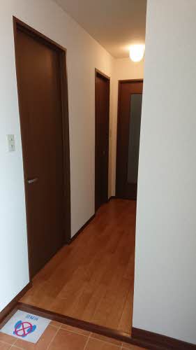 セントポーリアＡ．Ｂ A202号-2