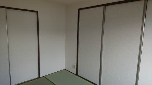 セントポーリアＡ．Ｂ A202号-10