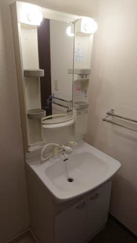 セントポーリアＡ．Ｂ A202号-13