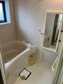 セントポーリアA.B B202号-9