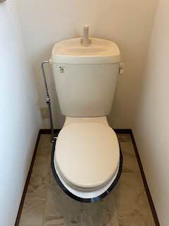 セントポーリアA.B B202号-11