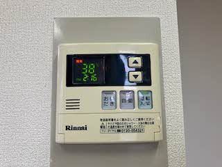 セントポーリアA.B B202号-13