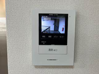 セントポーリアA.B B202号-14