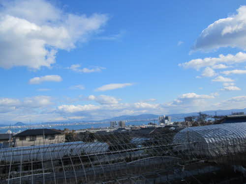 シャーメゾン　ダンサント 0102号-2