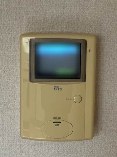 エンコウジ　Ａ 0203号-4
