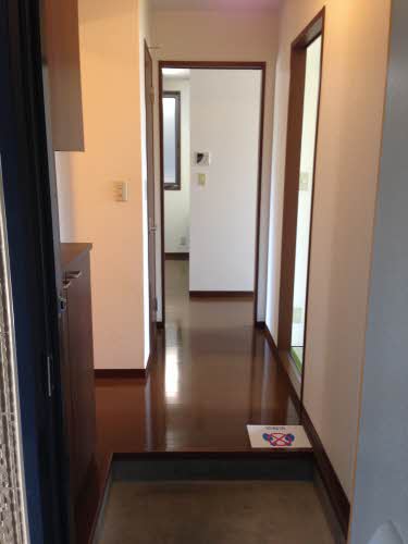 グリーン・スプリング D101号-14