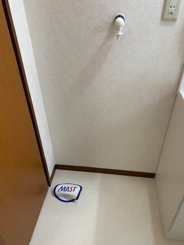 その他画像11