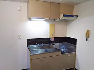 ハイム２９ 0201号-4