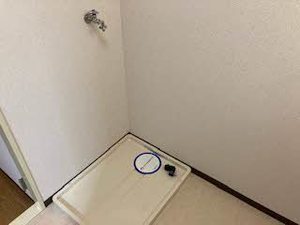 コーポラス　モズ 0203号-11