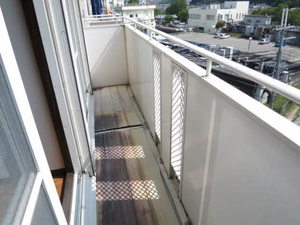 メゾン栄． 0203号-12