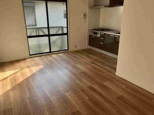 メゾンプレミール. 0210号-2