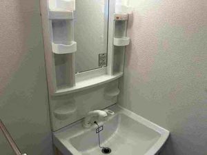 メゾンプレミール. 0210号-11