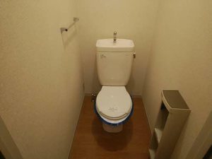 メゾン・ボナール D202号-13