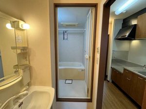 安井ハイツ 0102号-10