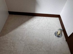 ソレイユ 北庄 B101号-9