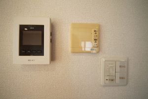 ＤＡＩＫＥＮＮ　ＨＩＬＬＳ-8