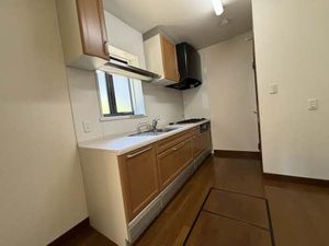 ＤＡＩＫＥＮＮ　ＨＩＬＬＳ-3