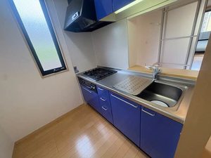 ベルデメゾン A101号-3