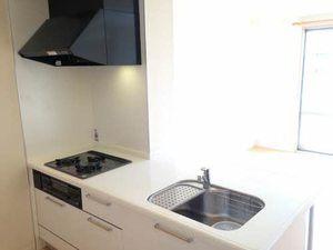 アークグレイス 0108号-7