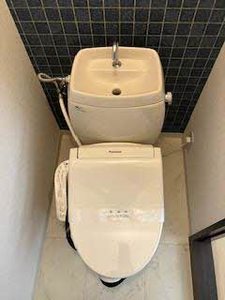 レジデンス桜ヶ丘 0202号-9