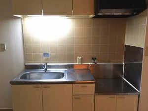 レルム・カミニート D102号-2