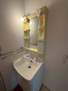 ルミナスコート　トヨク B201号-11