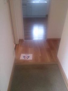 コスモス結崎 A A201号-3