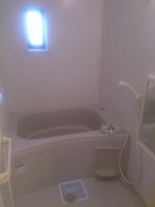 シャルマンカマダ 0203号-13